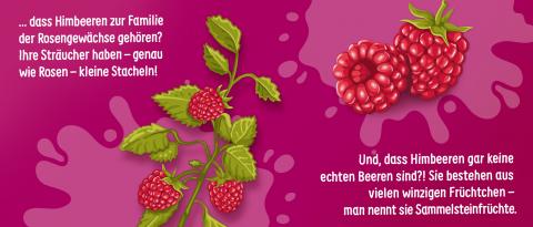 Himbeeren